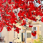 Appartement Maria 1